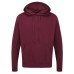 Group Branded Hoodie Adult/Explorer